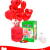 12 Ballons Mylar Coeur + Hélium Petit